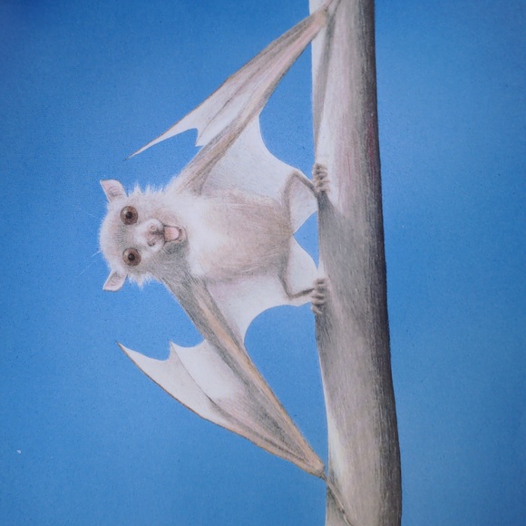 #3  😍 5 For $25 😍  Stellaluna 25th Anniversary Board Book - Picture 4 of 9